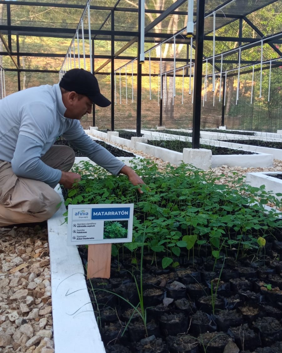 TITI TIDBITS: A New Tree Nursery for a Stronger Future