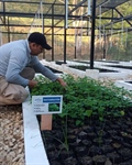 TITI TIDBITS: A New Tree Nursery for a Stronger Future