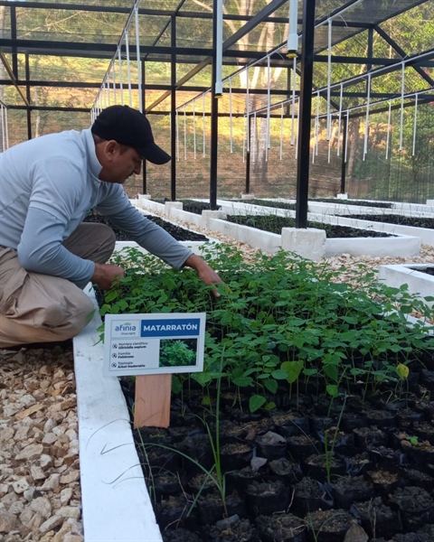 TITI TIDBITS: A New Tree Nursery for a Stronger Future