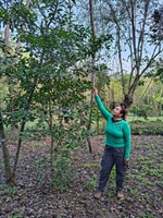 Celebrating International Day of Women and Girls in Science!