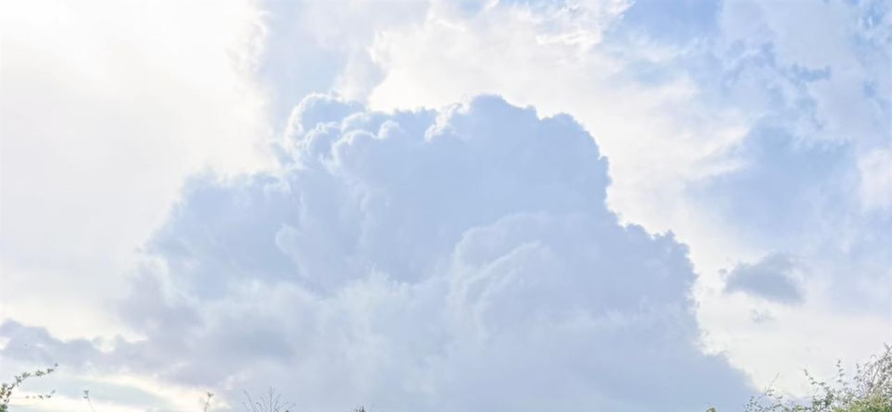 Happy Global Recycling Day!