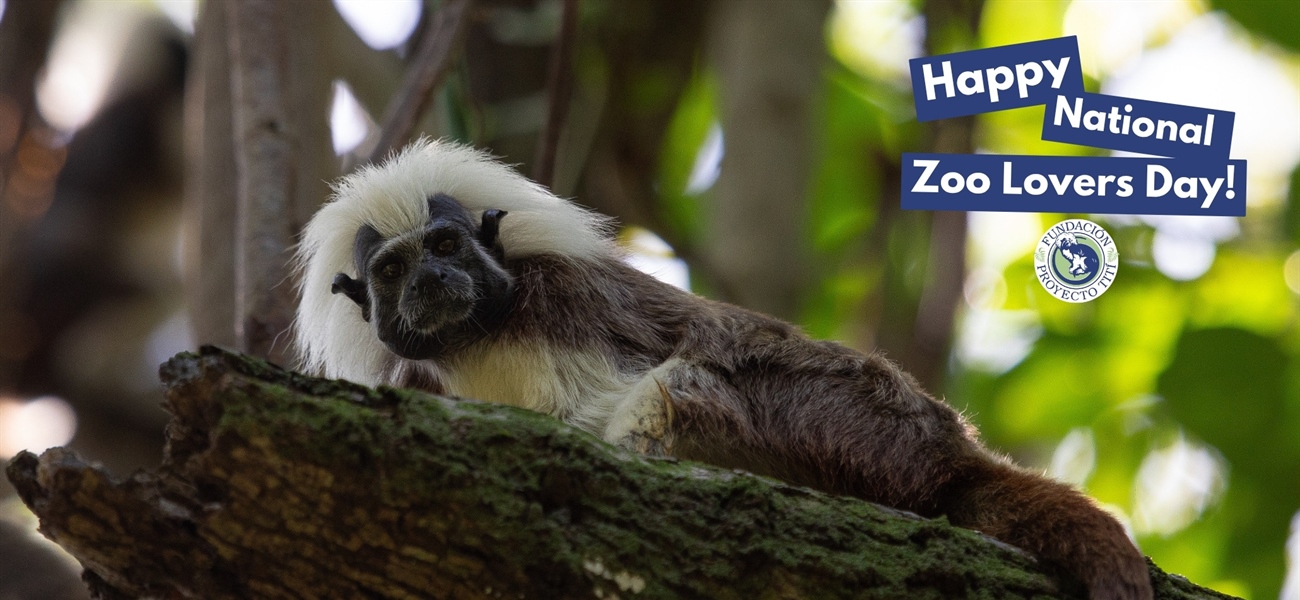 Happy National Zoo Lovers Day!