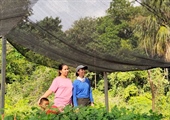 TITI TIDBITS: Fathers, Daughters, and Forests Growing Together