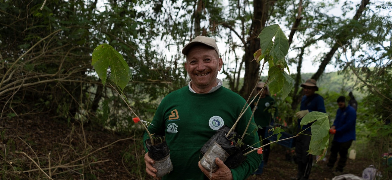 TamarANNE Tuesday: The Trees We Plant Today