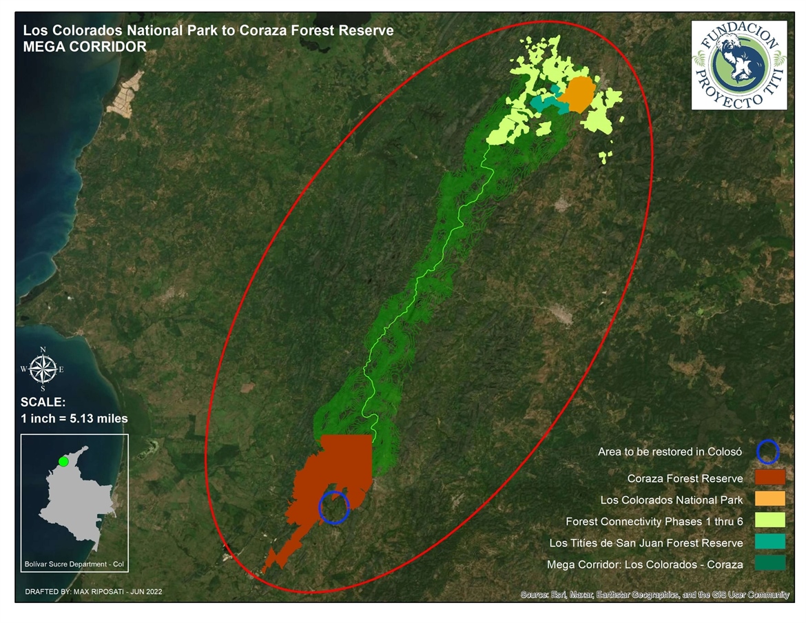 TamarANNE Tuesday: Building the Mega Corridor — Connecting Forests, Wildlife, and Communities