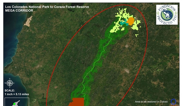TamarANNE Tuesday: Building the Mega Corridor — Connecting Forests, Wildlife, and Communities