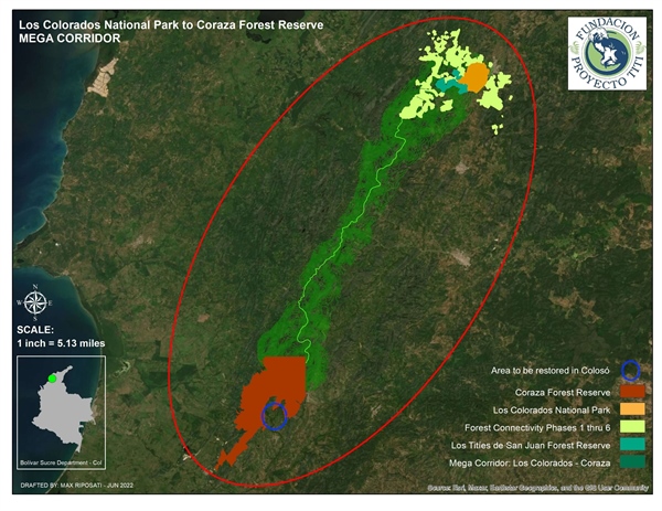 TamarANNE Tuesday: Building the Mega Corridor — Connecting Forests, Wildlife, and Communities
