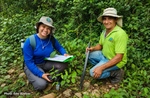 TamarANNE Tuesday: Planting Trees is the Easy Part