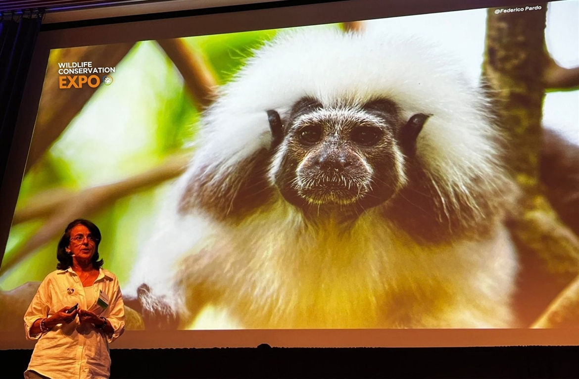 TITI TIDBITS: Join Rosamira at the Wildlife Conservation Expo!