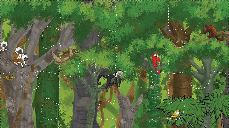 Pasatitiempos Activity Bookleet Cover