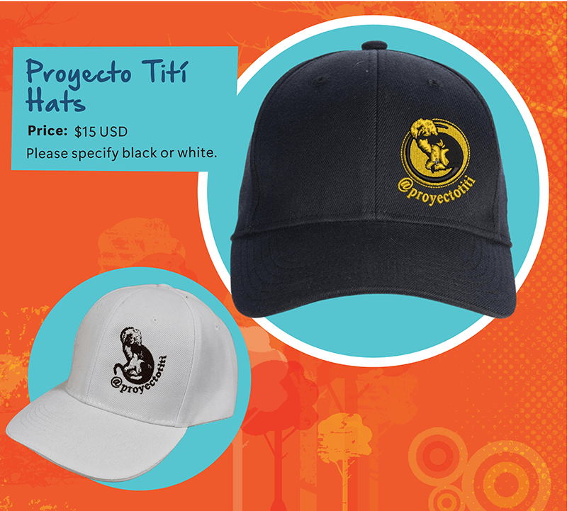 Proyecto Tití Hats