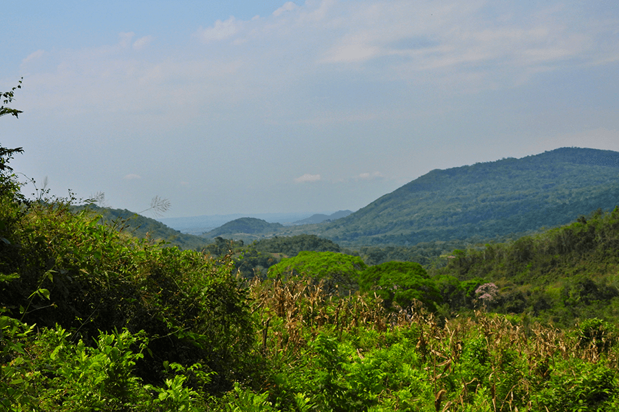 Bosque Seco Tropical