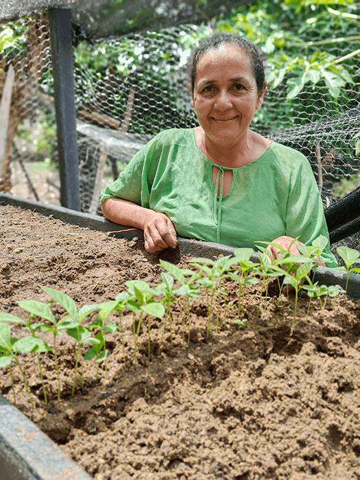 Seguimiento A Viveros