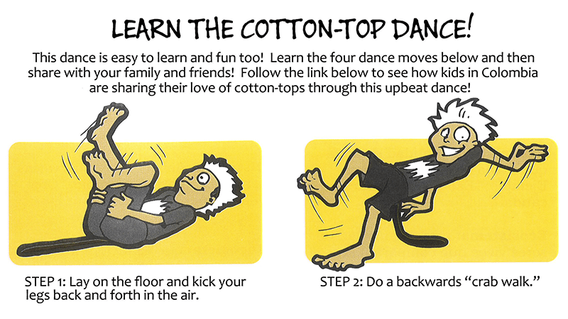 Pasatitiempos Activity Bookleet Cover