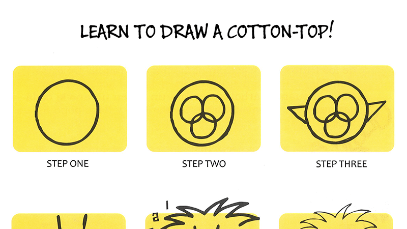 Pasatitiempos Activity Bookleet Cover