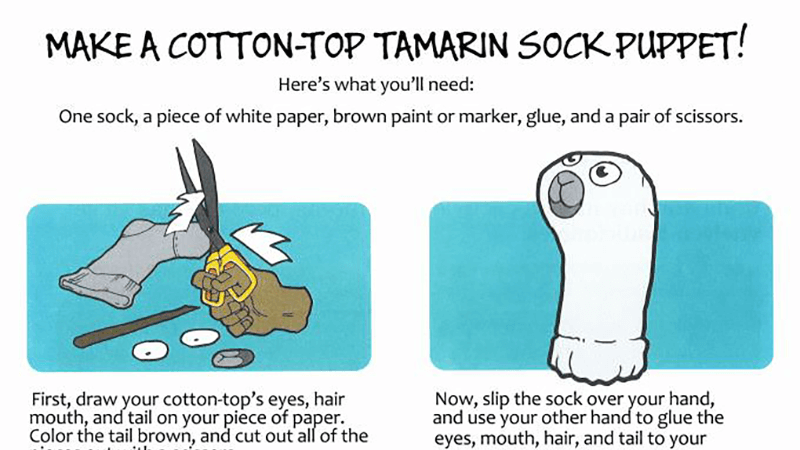 Pasatitiempos Activity Bookleet Cover