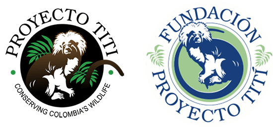Proyecto Tití: Conserving the Cotton-top Tamarin in Colombia