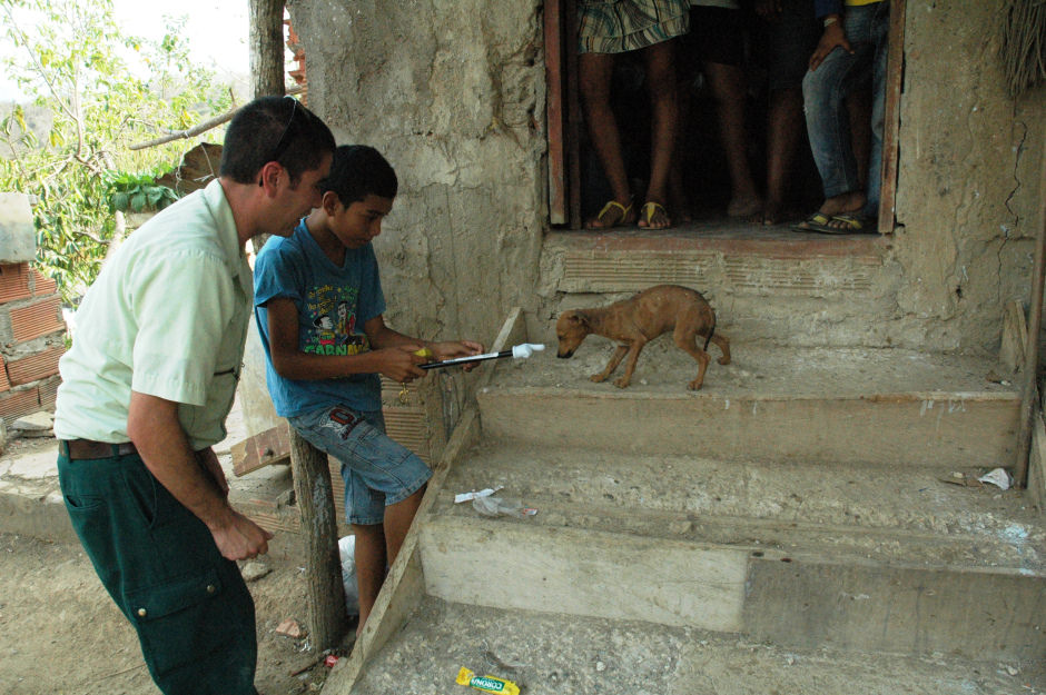 Canines in Colombia