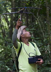 Tracking Tamarins in the Forest