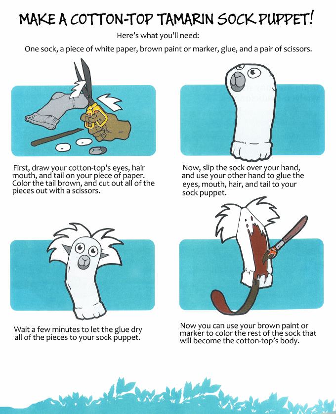 How to Make a Cotton-top Sock Puppet